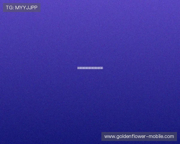 巴西队点球大战的历史与精彩瞬间解析