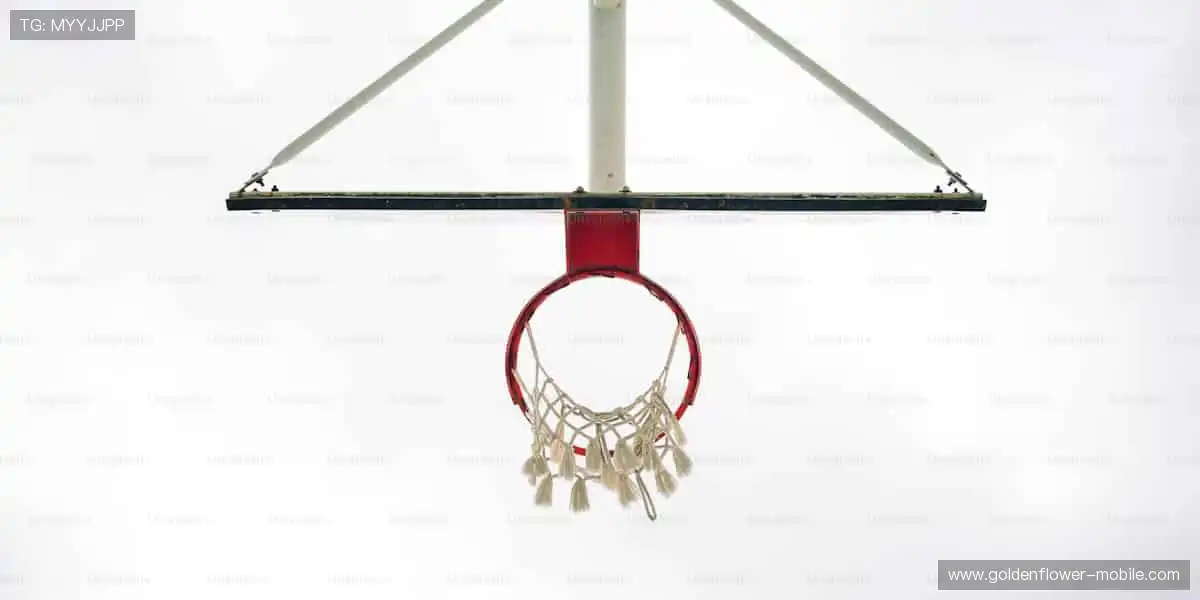 玩家的笑容，是我们最骄傲的勋章！😊🌟